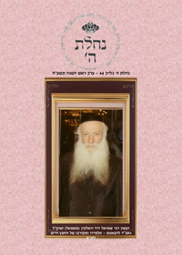 תמונה ממוזערת של אור מופלא